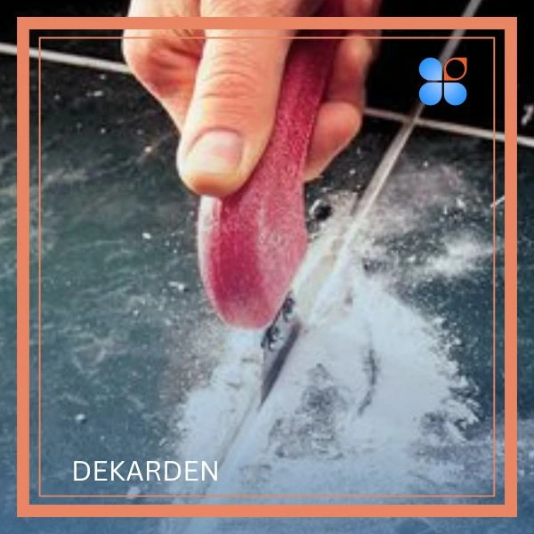 قیمت پودر بندکشی ضد آب